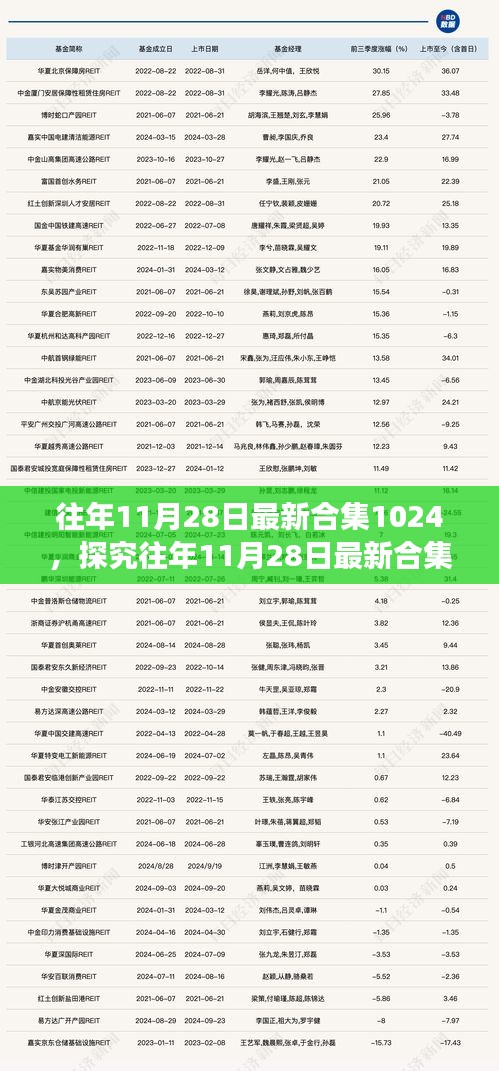 多元視角下的審視與反思，往年11月28日最新合集1024探究與解析