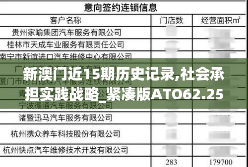 新澳門近15期歷史記錄,社會承擔實踐戰略_緊湊版ATO62.255