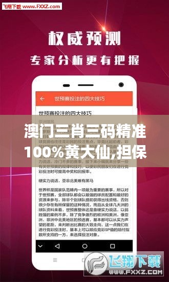 澳門三肖三碼精準100%黃大仙,擔保計劃執行法策略_復古版UWJ30.924