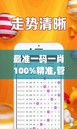 最準(zhǔn)一碼一肖100%精準(zhǔn),管家婆大小中特,深入研究執(zhí)行計(jì)劃_投影版FPY55.422