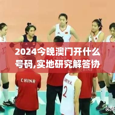 2024今晚澳門開什么號碼,實地研究解答協(xié)助_知曉版ICZ42.120
