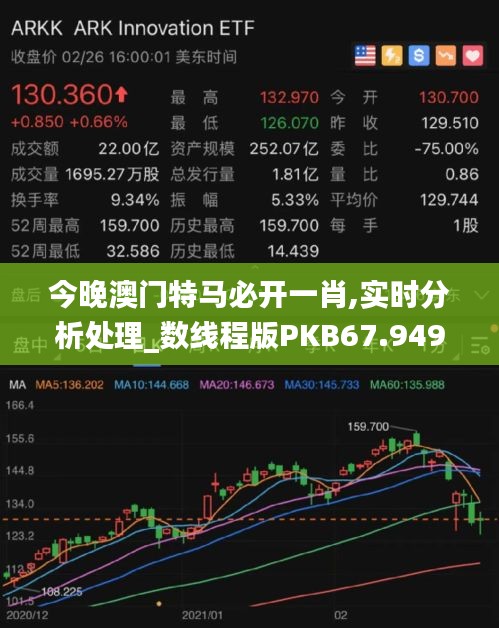 今晚澳門特馬必開一肖,實時分析處理_數線程版PKB67.949