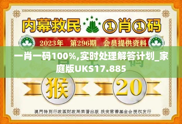 一肖一碼100%,實時處理解答計劃_家庭版UKS17.885