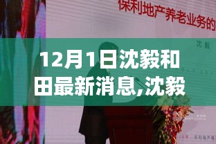 深度解析，沈毅和田最新動態(tài)與各方觀點