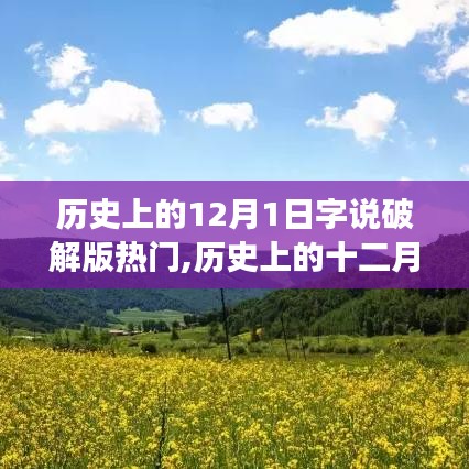 揭秘歷史上的十二月一日，字說破解版熱門事件回顧