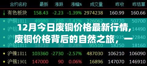 十二月廢銅價(jià)格最新動(dòng)態(tài)，探尋背后的自然之旅與內(nèi)心平靜之旅