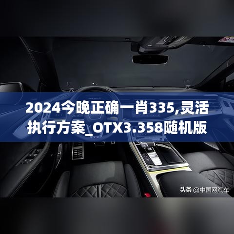 2024今晚正確一肖335,靈活執行方案_OTX3.358隨機版