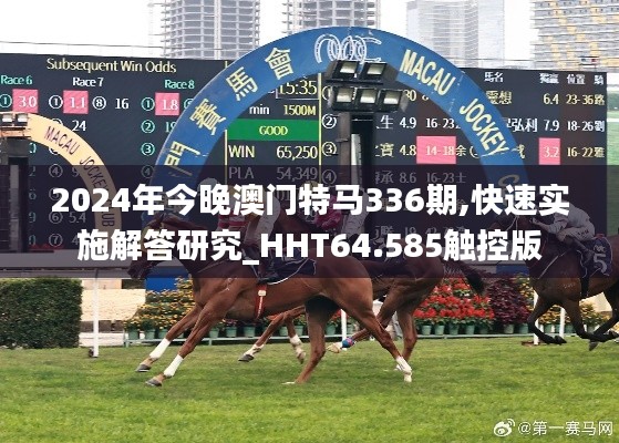 2024年今晚澳門特馬336期,快速實施解答研究_HHT64.585觸控版