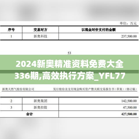 2024新奧精準資料免費大全336期,高效執(zhí)行方案_YFL77.297競技版
