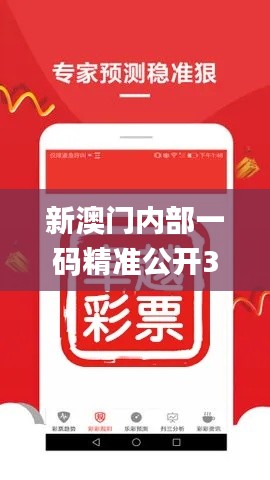 新澳門內(nèi)部一碼精準(zhǔn)公開336期,靈活性執(zhí)行方案_YGY84.430旗艦設(shè)備版
