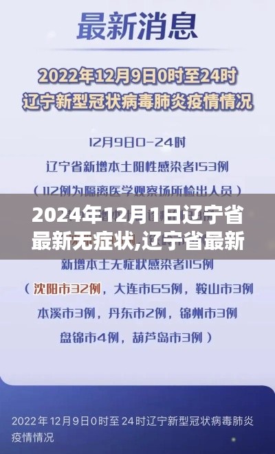 遼寧省最新動態(tài)深度解析，聚焦2024年12月1日無癥狀情況報告