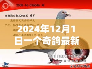 奇鴿最新版，2024年科技飛躍與深遠影響的里程碑