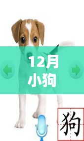 服務流程 第246頁