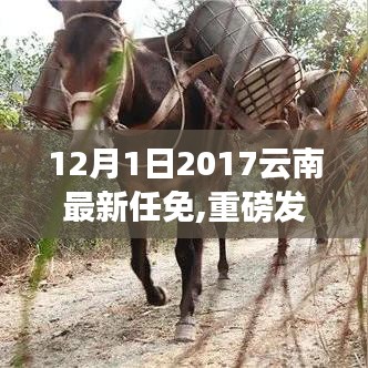 重磅發(fā)布，云南科技新品閃耀登場，智能革新體驗引領(lǐng)科技魅力