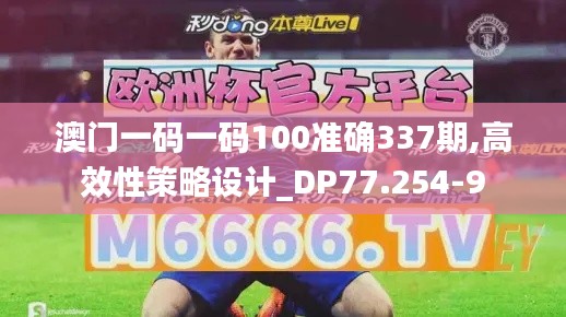 澳門一碼一碼100準確337期,高效性策略設計_DP77.254-9