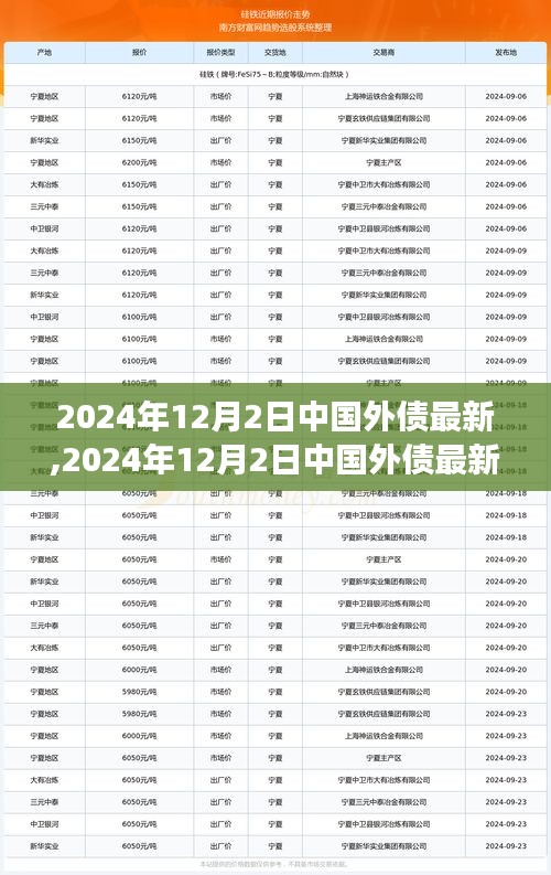 中國外債最新情況詳解，獲取與解讀外債信息的步驟及技能