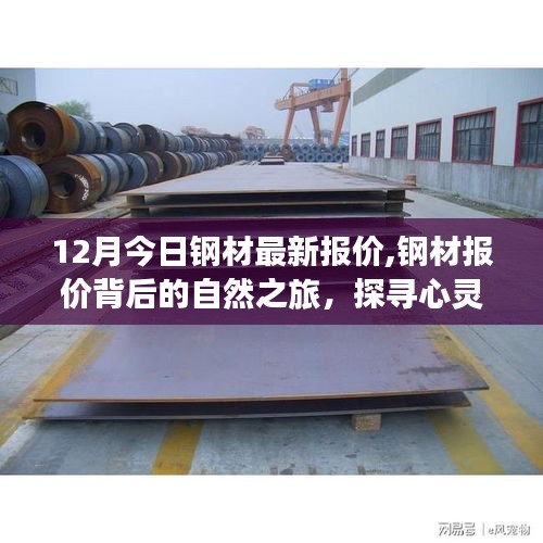 探尋心靈的寧靜與自然的饋贈，揭秘鋼材報價背后的自然之旅，最新鋼材報價一覽（今日十二月）