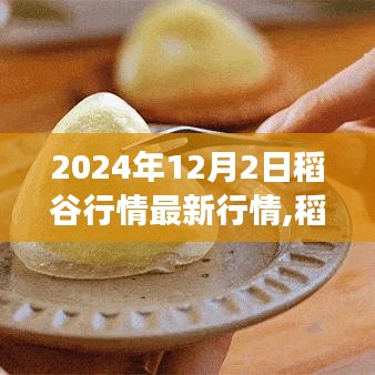 智慧學園SAAS運營服務 第242頁
