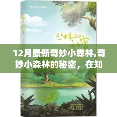 十二月新探奇妙小森林，知識森林中的自信與成長果實