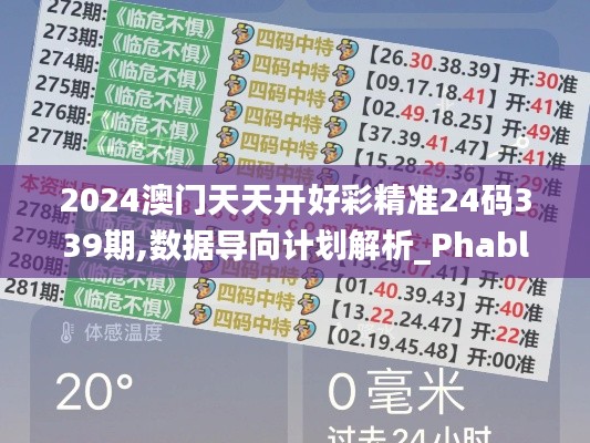 2024澳門天天開好彩精準24碼339期,數據導向計劃解析_Phablet115.802-5