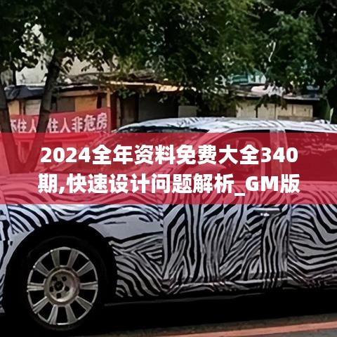 2024全年資料免費(fèi)大全340期,快速設(shè)計(jì)問題解析_GM版56.263-2