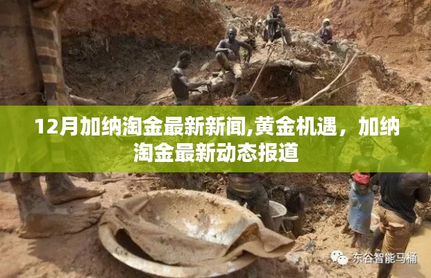 加納淘金熱潮再起，黃金機遇引領最新動態報道