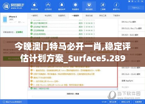 今晚澳門特馬必開一肖,穩定評估計劃方案_Surface5.289