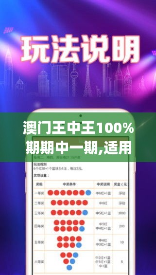 澳門王中王100%期期中一期,適用性策略設計_網頁版110.845