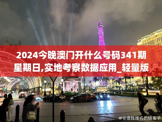 2024今晚澳門開什么號碼341期星期日,實地考察數據應用_輕量版2.936