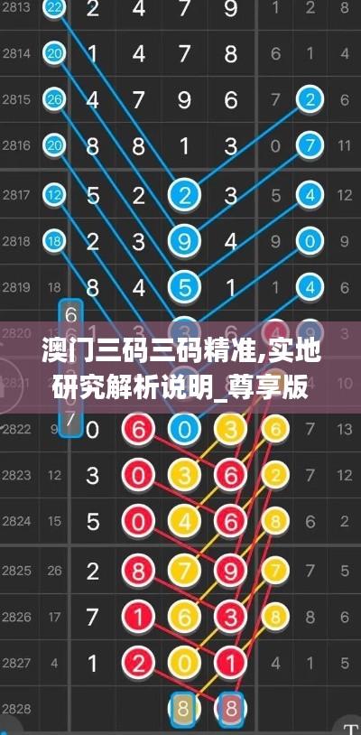 澳門三碼三碼精準(zhǔn),實地研究解析說明_尊享版9.820