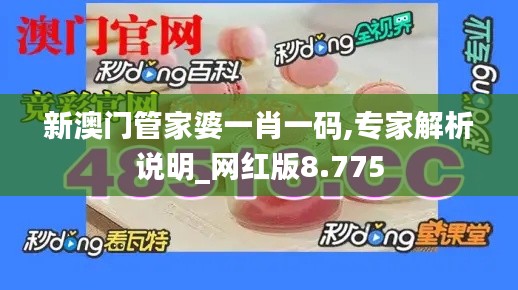 新澳門管家婆一肖一碼,專家解析說明_網(wǎng)紅版8.775