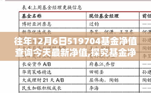 探究基金凈值波動(dòng)背后的投資邏輯，以519704基金為例，最新凈值查詢報(bào)告出爐！