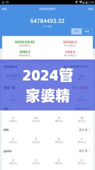 2024管家婆精準資料第三,系統解析說明_XT4.860