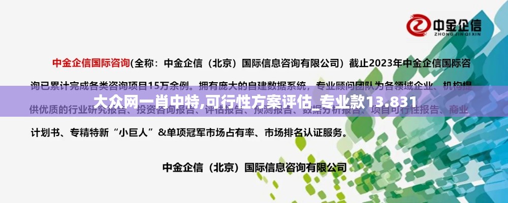 大眾網一肖中特,可行性方案評估_專業款13.831