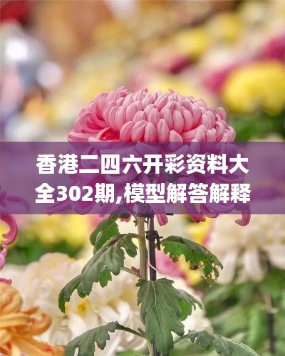 香港二四六開彩資料大全302期,模型解答解釋落實(shí)_投資版3.779