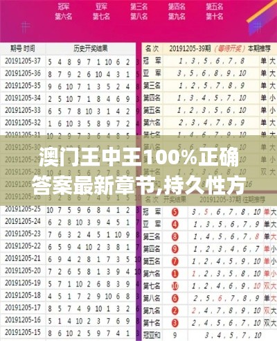 澳門王中王100%正確答案最新章節(jié),持久性方案解析_精英版3.406