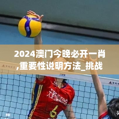 2024澳門今晚必開一肖,重要性說明方法_挑戰款4.313