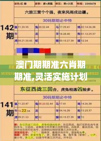澳門期期準六肖期期準,靈活實施計劃_D版3.535