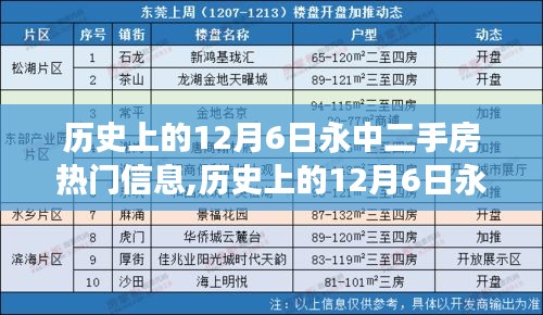 歷史上的12月6日永中二手房市場動態(tài)，熱點信息與購房技能詳解