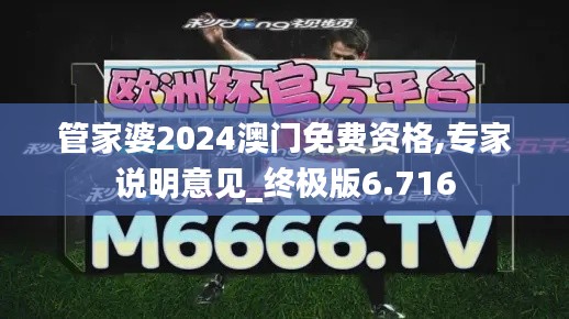 管家婆2024澳門免費資格,專家說明意見_終極版6.716