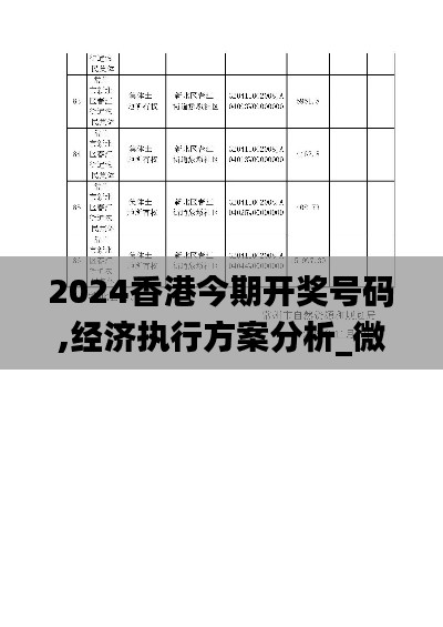 經(jīng)濟執(zhí)行方案分析