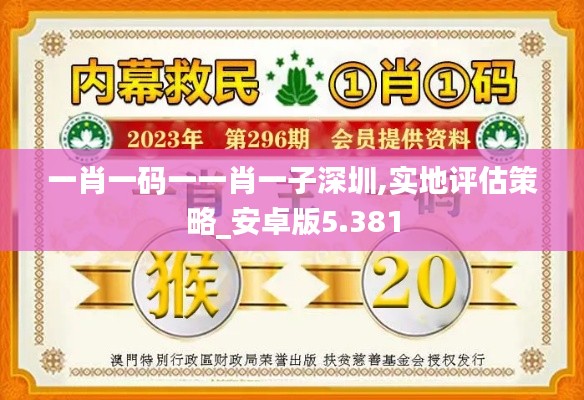 一肖一碼一一肖一子深圳,實地評估策略_安卓版5.381