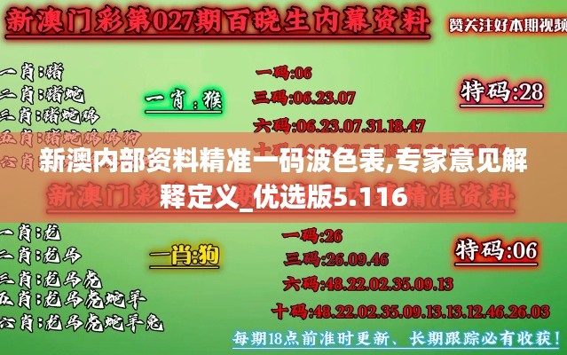 新澳內(nèi)部資料精準(zhǔn)一碼波色表,專家意見解釋定義_優(yōu)選版5.116
