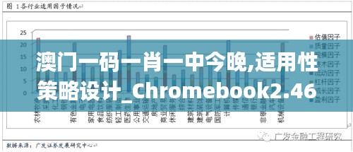 澳門一碼一肖一中今晚,適用性策略設(shè)計(jì)_Chromebook2.468