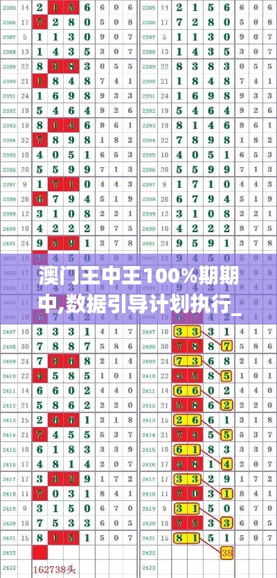 澳門王中王100%期期中,數(shù)據(jù)引導(dǎo)計劃執(zhí)行_儲蓄版10.913