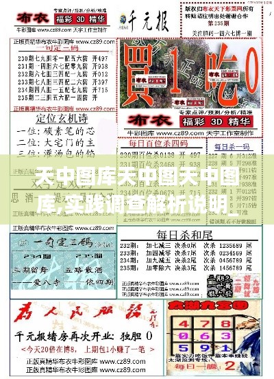 天中圖庫天中圖天中圖庫,實踐調(diào)查解析說明_7DM7.374