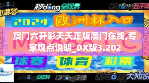 澳門六開彩天天正版澳門在線,專家觀點說明_DX版3.202