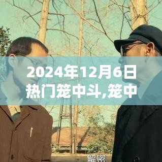 籠中斗趣，2024年12月6日的溫馨日常