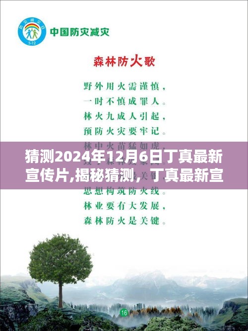 揭秘猜測，丁真最新宣傳片亮相預告 2024年12月6日，純真相遇時刻！