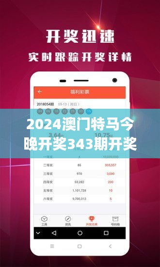 2024澳門特馬今晚開獎343期開獎結(jié)果,決策資料解釋落實_C版16.132